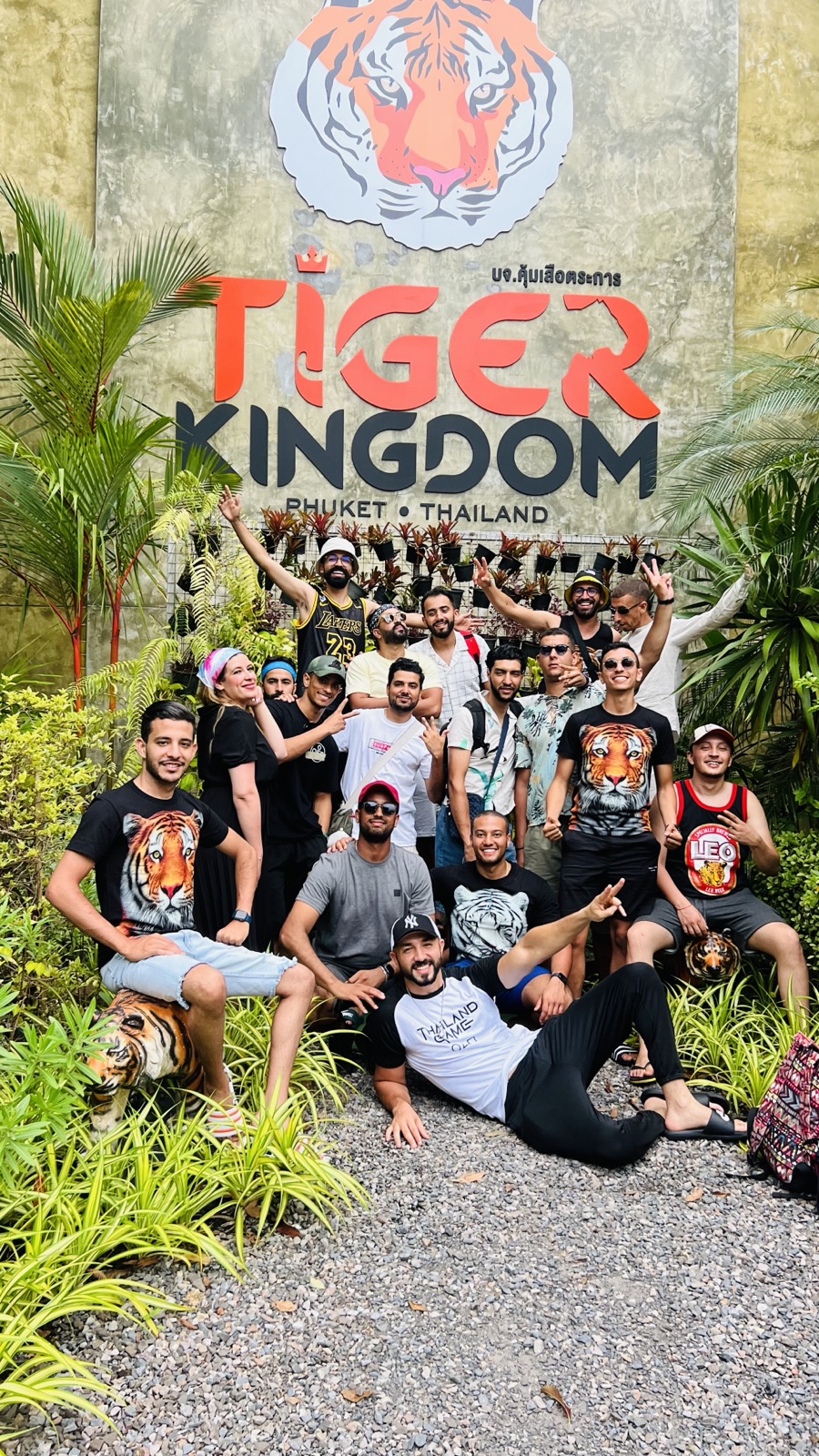 Elephants & Tigers